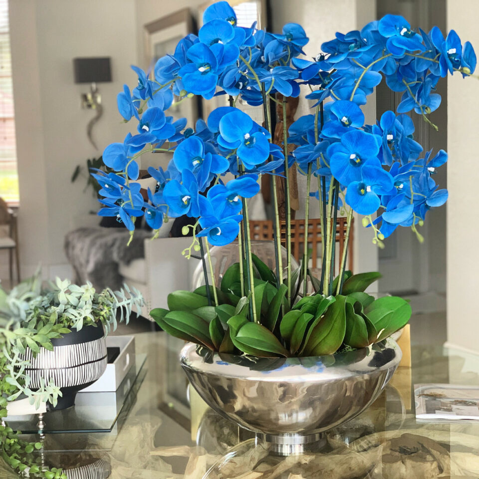 Avenue-Schale mit blauen Phalaenopsis-Orchideen
