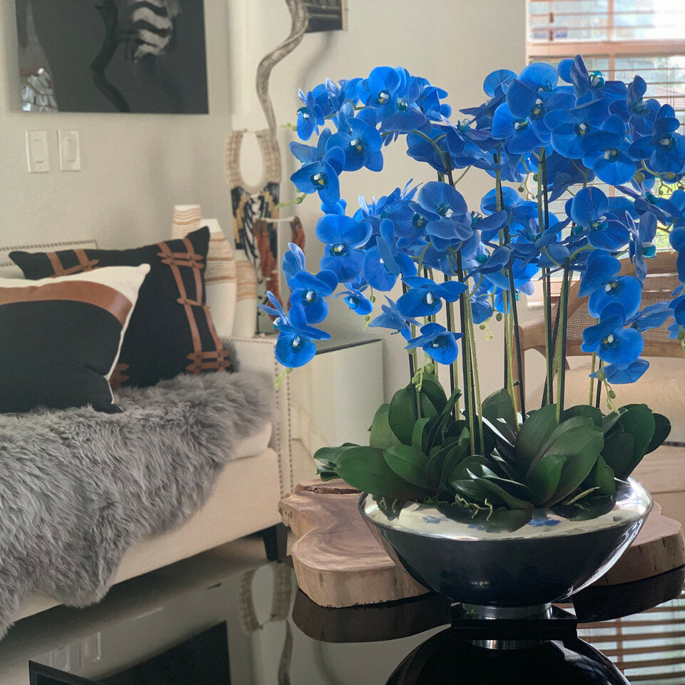 Avenue-Schale mit blauen Phalaenopsis-Orchideen