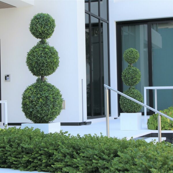 Dreifach-Kugel-Topiary mit mittelgroßem Pflanzgefäß aus Fiberglas.