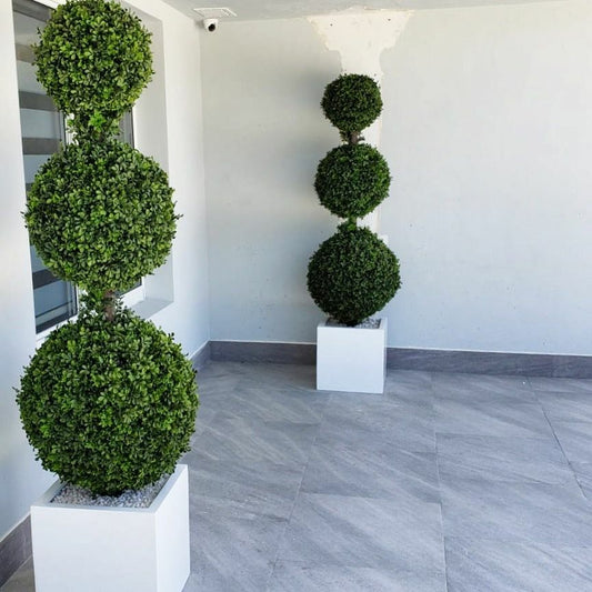 Dreifach-Kugel-Topiary mit mittelgroßem Pflanzgefäß aus Fiberglas.