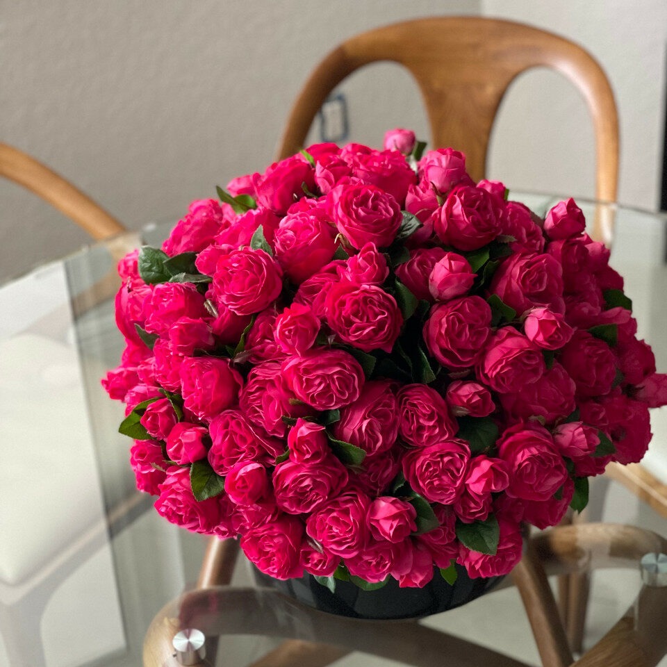 Dunkelrosa englische Rosen in einem schwarzen Glas-Pflanzkübel.