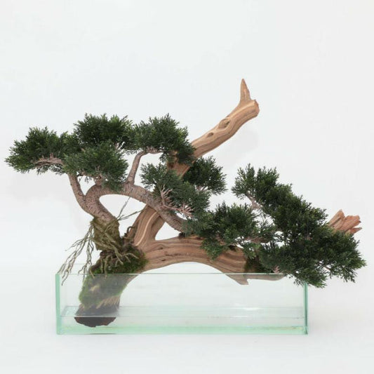 Künstlicher Kriech-Zedern-Bonsai im Glas-Pflanzgefäß