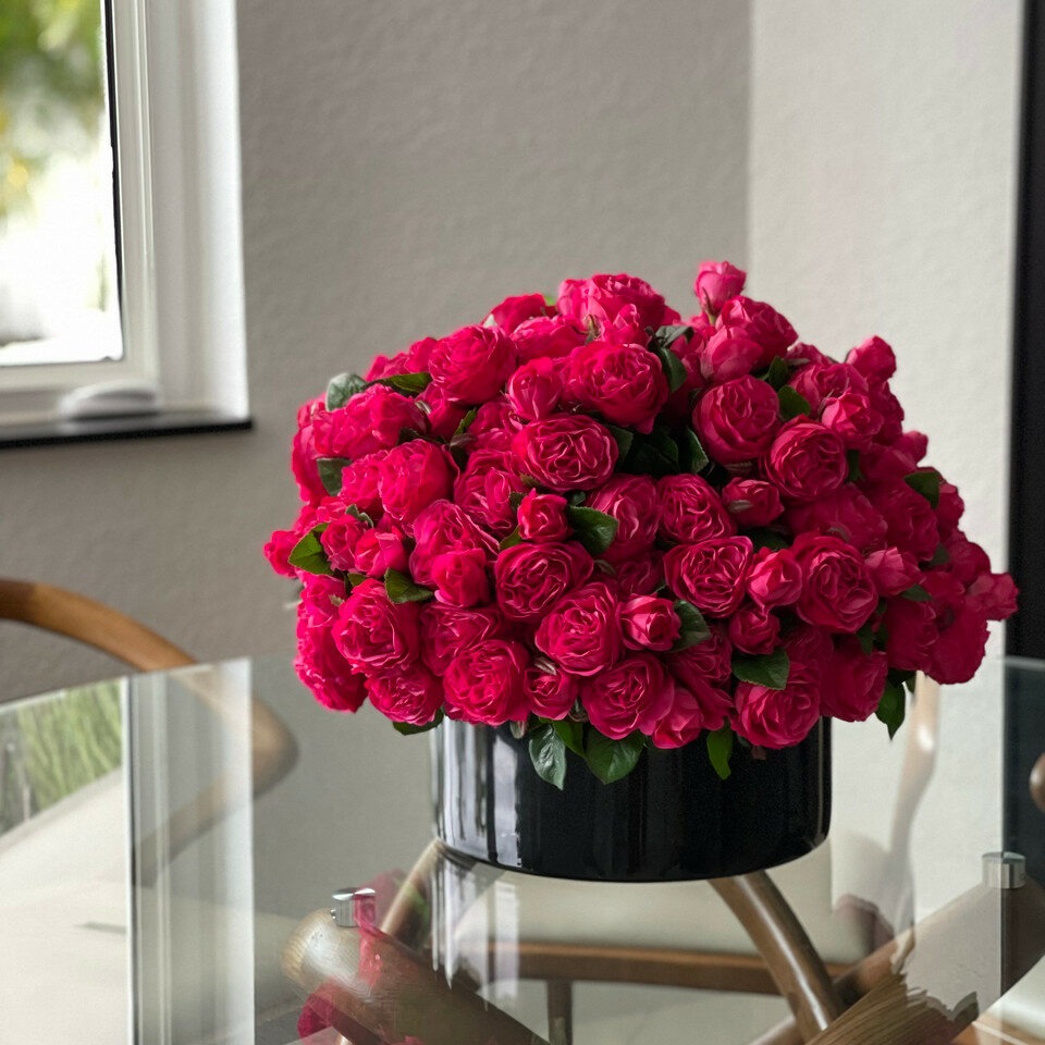 Dunkelrosa englische Rosen in einem schwarzen Glas-Pflanzkübel.