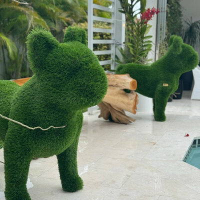 Französische Bulldogge Topiary