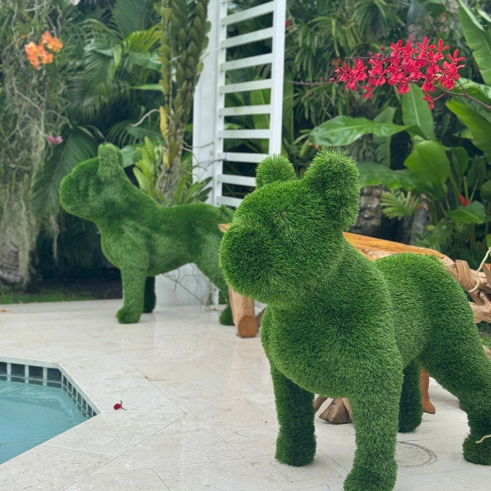 Französische Bulldogge Topiary