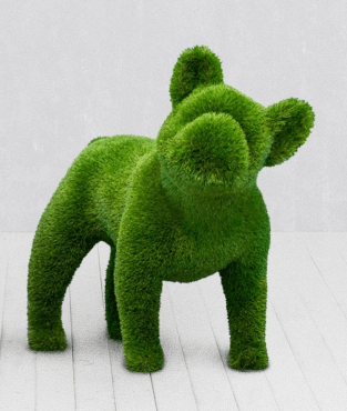 Französische Bulldogge Topiary